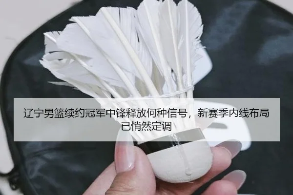 辽宁男篮续约冠军中锋释放何种信号，新赛季内线布局已悄然定调